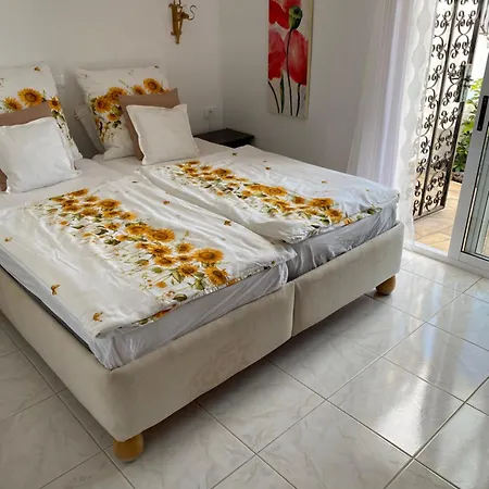 Hibisco * Los Realejos