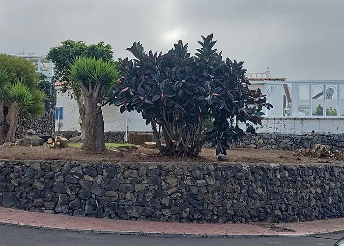 Hibisco * Los Realejos